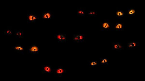 Ominous Oculi