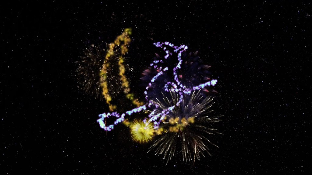 Halloween Fireworks
