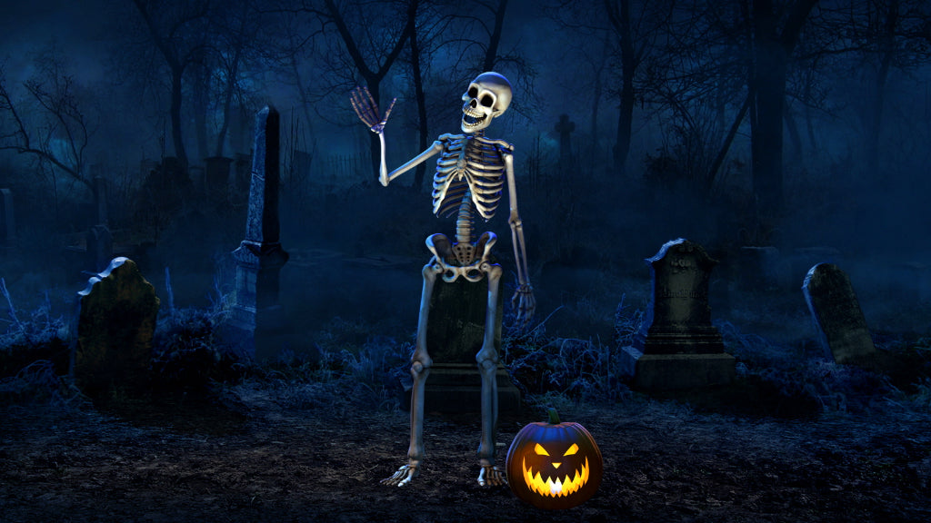 Silly Skeletons 2