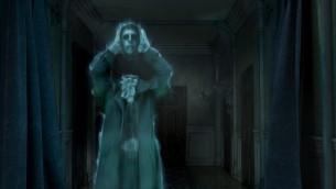 Head of the House