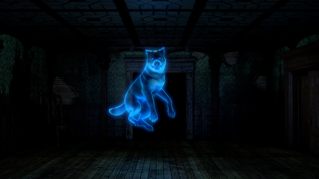 Haunted Hounds