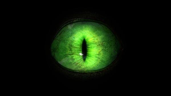Monster Eyes
