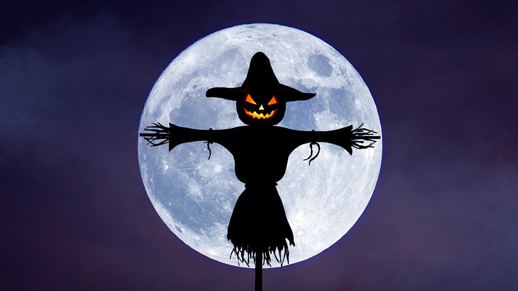 Scarecrow Surprise