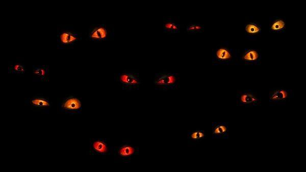 Ominous Oculi