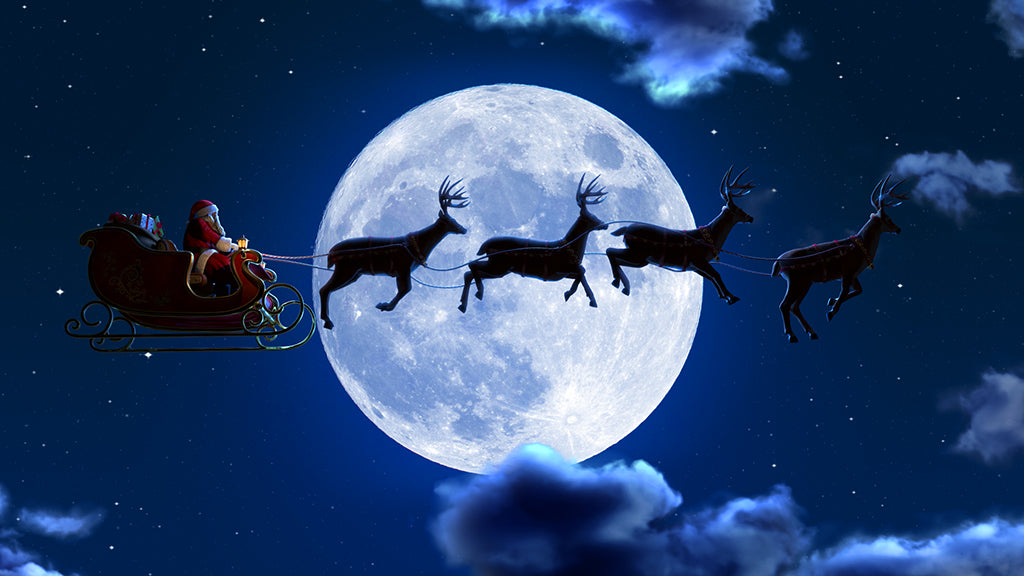 Sleigh Ride for TVs and Decorating Discs