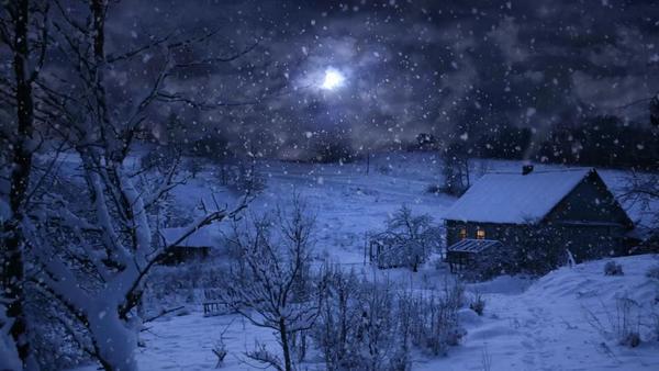 Picture Perfect: Night