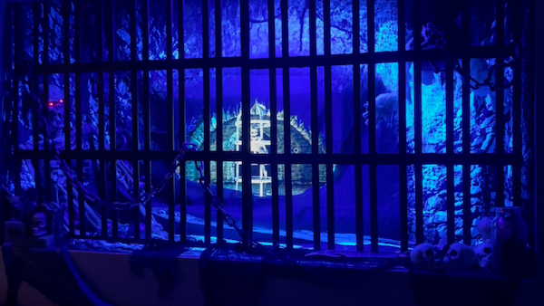 AtmosFAN Transforms Den into Pirate Grotto for Epic Costume Party