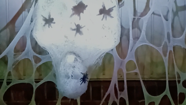 AtmosFAN’s Spider Egg Hatch Here for Easter