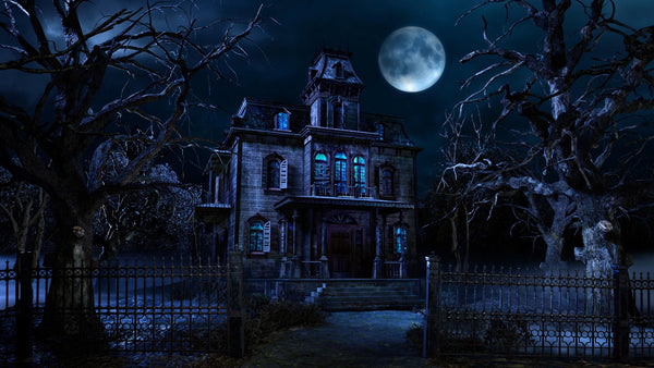 Great Ways to Display ‘Ghostly Mansion’ – AtmosFX Digital Decorations