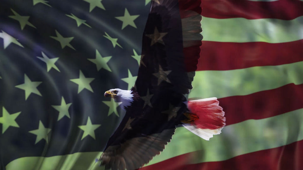 American Icons