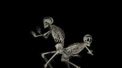 Silly Skeletons - Bone Chillers - AtmosFX Digital Decorations