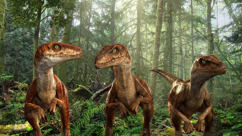 opblijven Spotlijster terugbetaling Raptor Pack - Dinosaur Encounter - AtmosFX Digital Decorations