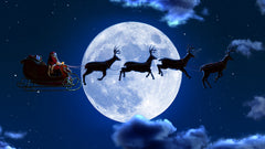 Santa's Sleigh Ride (Disc) - AtmosFX Digital Decorations
