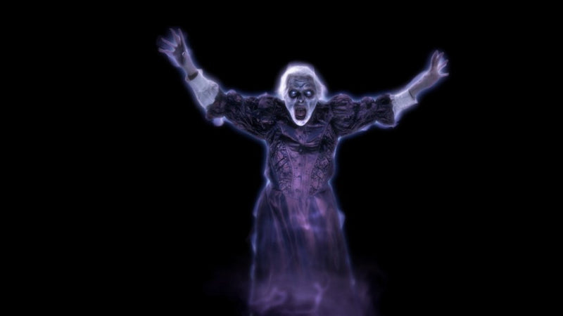 Sinister Spinster - Phantasms - AtmosFX Digital Decorations